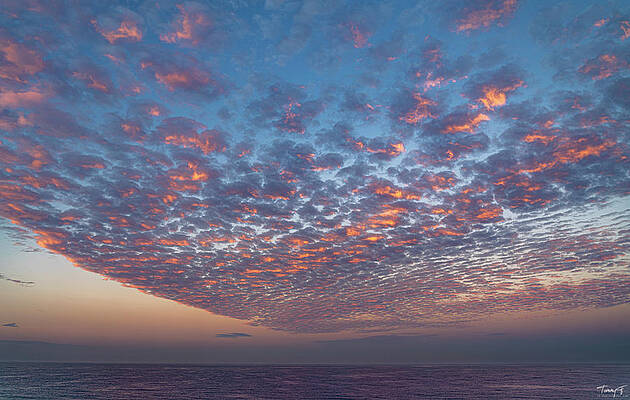 Mazatlan Mornings by Tommy Farnsworth Mazatlan Mornings by Tommy Farnsworth