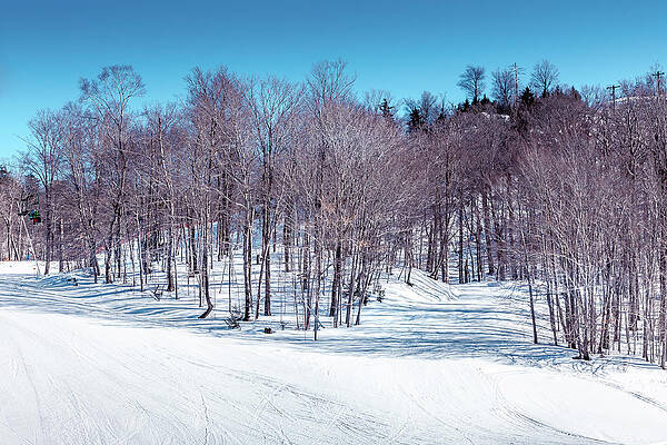 McCauley Slopes by David Patterson McCauley Slopes by David Patterson