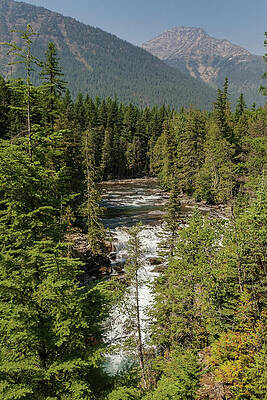 Wall Art - Photograph - McDonald Falls in Glacier National Park #2 by Nancy Gleason