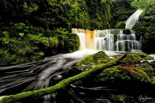 Wall Art - Photograph - McLean Falls by Gary Johnson