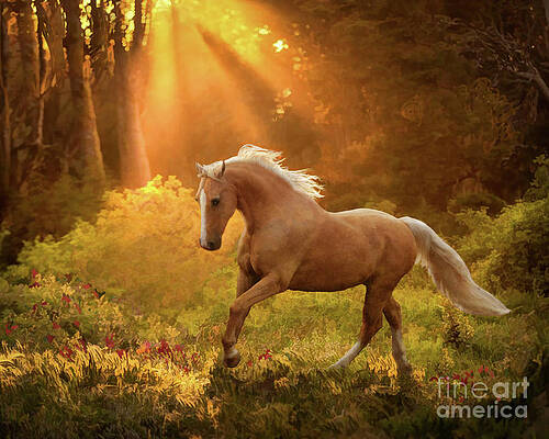 Palomino Horse Digital Art - Fine Art America