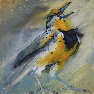 Meadow Lark by Jani Freimann Meadow Lark by Jani Freimann