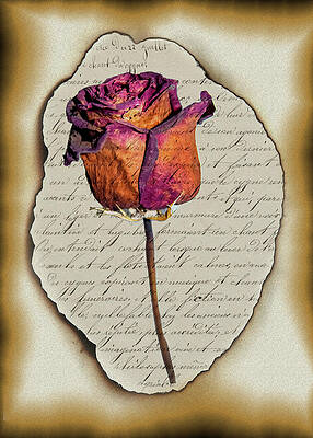 Memories by Cathy Kovarik Memories by Cathy Kovarik