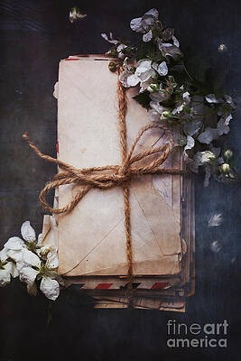 Memories of Spring by Stephanie Frey Memories of Spring by Stephanie Frey