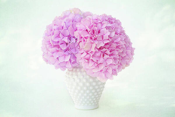 Memory of Rose in Pink by Kathi Mirto Memory of Rose in Pink by Kathi Mirto