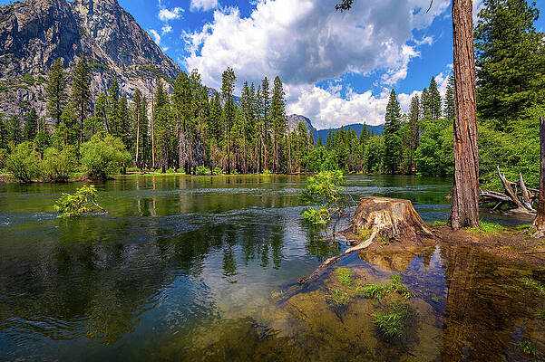 Wall Art - Photograph - Merced River flowing through Yosemite National Park in California, USA by Miroslav Liska