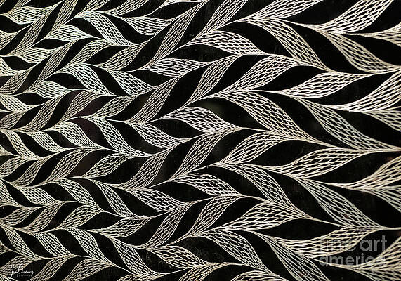 Mesh by Jan Pudney Mesh by Jan Pudney