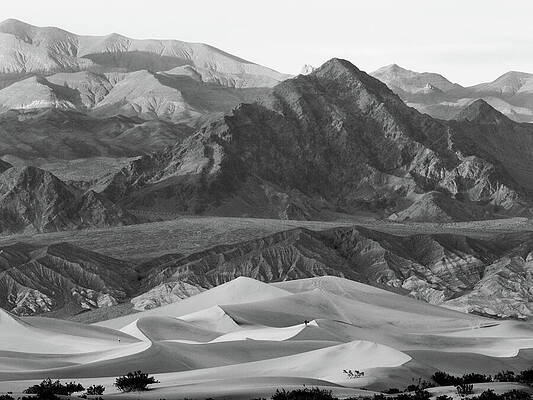 Wall Art - Photograph - Mesquite Dunes to the Grapevine Range by Joe Schofield