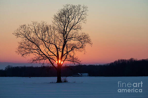 Michigan Winter Sunset by Jim West Michigan Winter Sunset by Jim West
