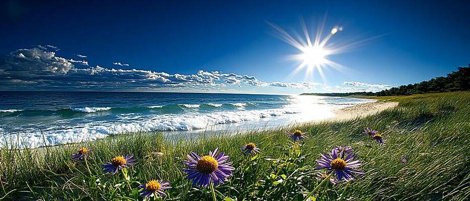 Wall Art - Digital Art - Midwest Summer Bloom by Sven Andersen