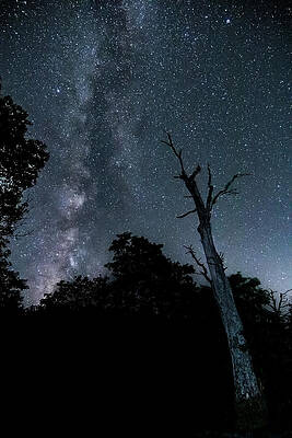 Wall Art - Photograph - Milky Way over Jewel Hollow by Spike Silvernail