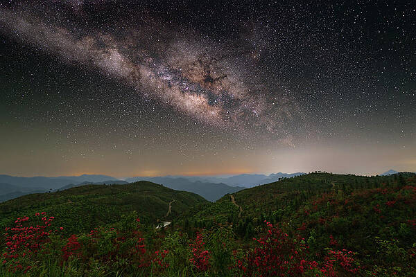 Wall Art - Photograph - Milky Way Over Mount Liuhuashan's Blossoming Forest in Longquan, Zhejiang, China by William Dickman