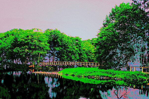 Mill Pond Bridge by Cliff Wilson Mill Pond Bridge by Cliff Wilson