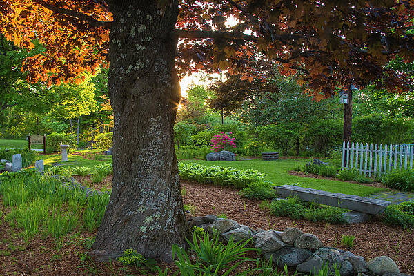 Miller Spring Sunset by Chris Whiton Miller Spring Sunset by Chris Whiton