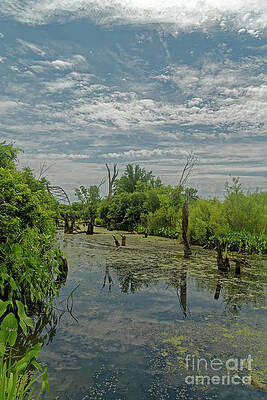 Wall Art - Photograph - Minnesota River and Cedar Bridge by Natural Focal Point Photography
