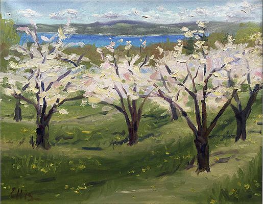 Mission Point Orchard #2 by ROSE ELLIS Mission Point Orchard #2 by ROSE ELLIS