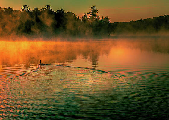Misty Sunrise by David Patterson Misty Sunrise by David Patterson
