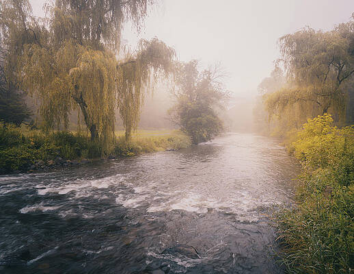 Misty View Down the Little Lehigh Creek by Jason Fink Misty View Down the Little Lehigh Creek by Jason Fink