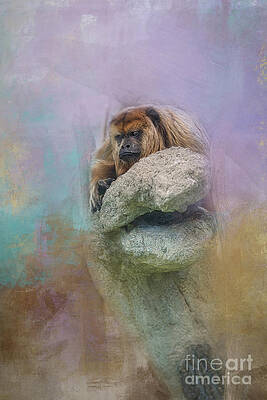 Monkey captured with texture by Amy Dundon Monkey captured with texture by Amy Dundon