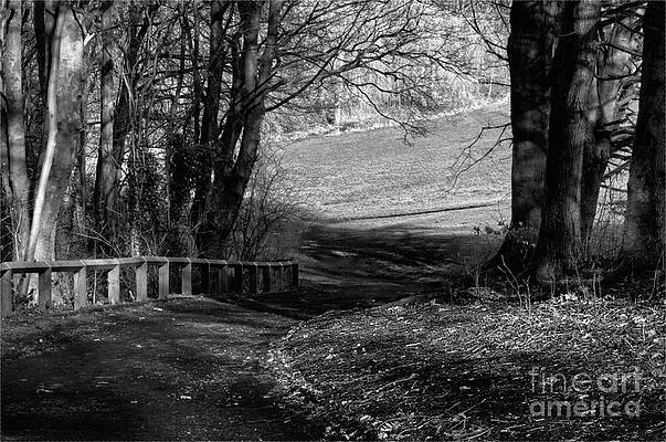 Monochrome-Finding your own way by PICS BY TONY Monochrome-Finding your own way by PICS BY TONY