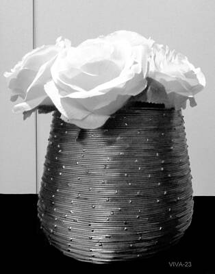 Wall Art - Photograph - Monotone - An  Exercise  In  Greyscale by Viva Anderson