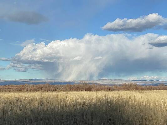 Monsoon Dreaming by Michael Oceanofwisdom Bidwell Monsoon Dreaming by Michael Oceanofwisdom Bidwell