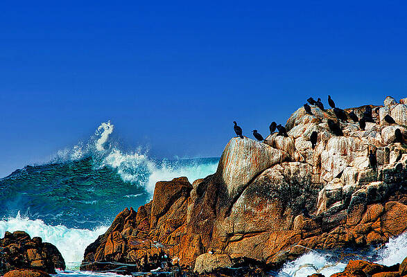 Wall Art - Photograph - Monterey Day by Jim Signorelli