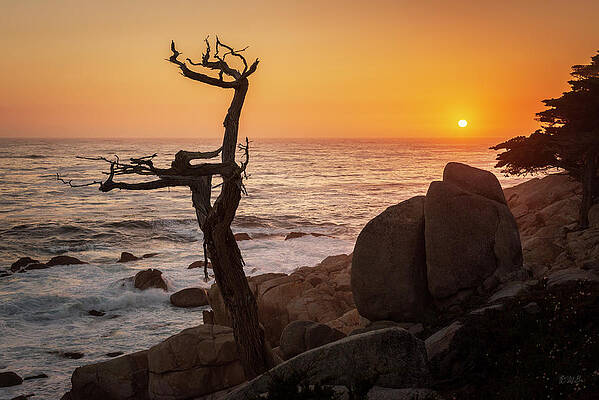 Monterey Peninsula VII Color by David Gordon Monterey Peninsula VII Color by David Gordon