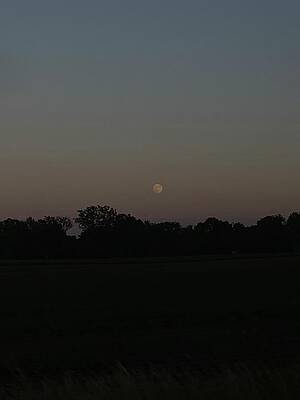 Moon  by Mily Dandu