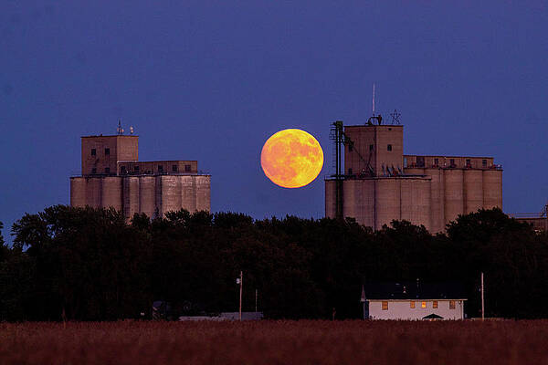 Moon Over Greenleaf by Roy Wenzl Moon Over Greenleaf by Roy Wenzl