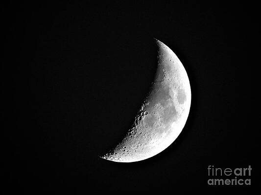 Moon Shadow Moment by Janet Marie Moon Shadow Moment by Janet Marie