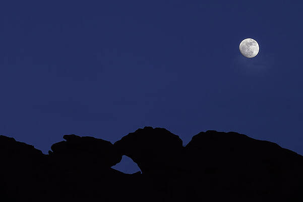 Moonlight Kiss by Bob Falcone Moonlight Kiss by Bob Falcone