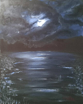 Moonlight Serenity  by Michael McDuffee