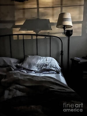 Wall Art - Photograph - Moonlight Woke Me by Terry Rowe