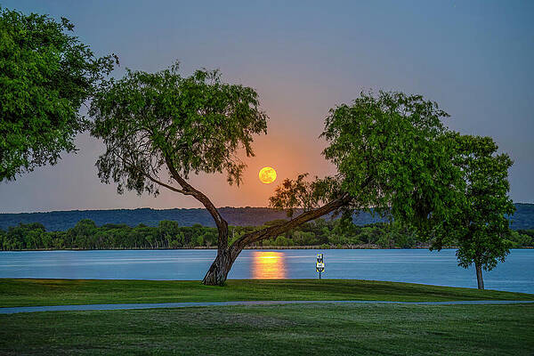 Wall Art - Photograph - Moonrise 11-11 by Wall Art Of Texas