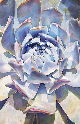 Morning Beauty by Sandy Haight Morning Beauty by Sandy Haight