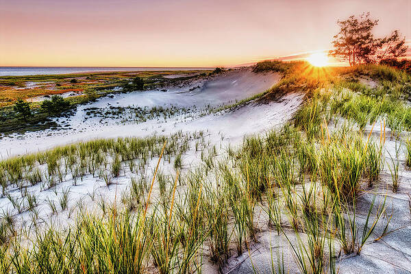 Morning Dunes, Crane Beach by Michael Hubley Morning Dunes, Crane Beach by Michael Hubley