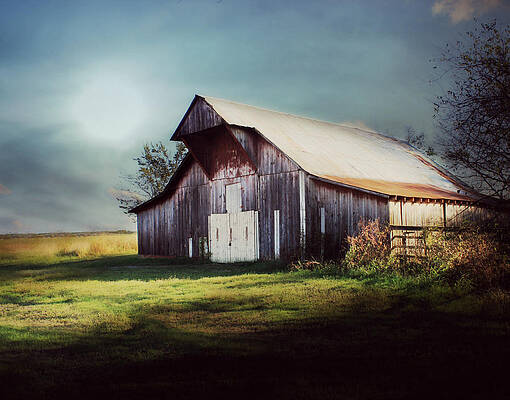 Morning Haze by Julie Hamilton Morning Haze by Julie Hamilton