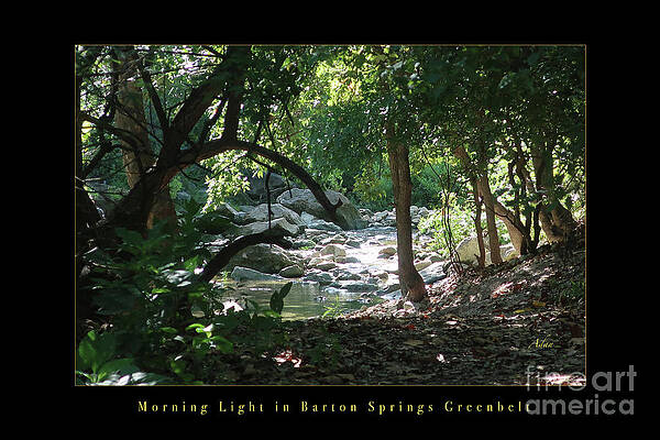 Morning Light in Barton Springs Greenbelt, Austin Poster by Felipe Adan Lerma Morning Light in Barton Springs Greenbelt, Austin Poster by Felipe Adan Lerma