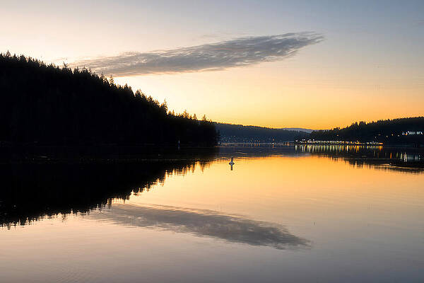 Morning Light by Irene Moriarty Morning Light by Irene Moriarty