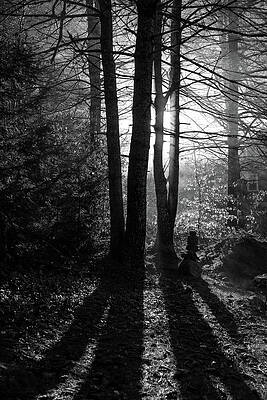 Morning Light by Jeff Kantorowski