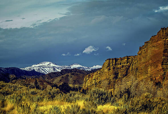 Morning Light on the Road to Yellowstone by Barbara Hayton Morning Light on the Road to Yellowstone by Barbara Hayton