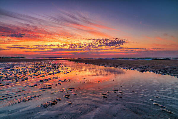 Wall Art - Photograph - Morning Magic by Penny Polakoff