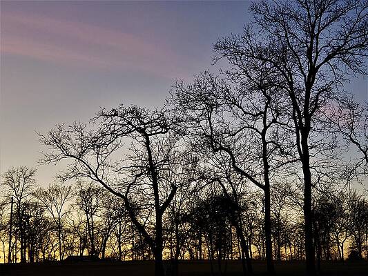 Morning by Mansour Zadrafie