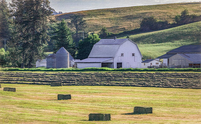 Morning Peace on the Farm by Marcy Wielfaert Morning Peace on the Farm by Marcy Wielfaert