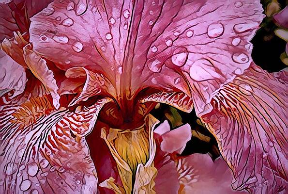 Morning Rain in the Garden by Bruce Bley Morning Rain in the Garden by Bruce Bley