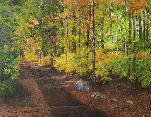 Morning Shadows by Aurelia Nieves-Callwood Morning Shadows by Aurelia Nieves-Callwood