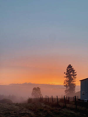  Photograph - Morning Sunrise  by Blenda Studio