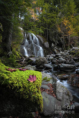 Moss Glen Falls in Vermont by Michael Ver Sprill Moss Glen Falls in Vermont by Michael Ver Sprill