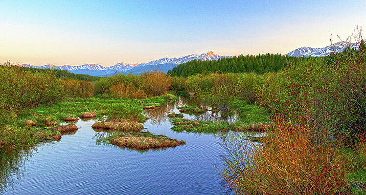Wilderness Photograph - Mount Massive Wilderness Spring Evening by Dan Sproul